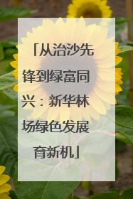 从治沙先锋到绿富同兴：新华林场绿色发展育新机
