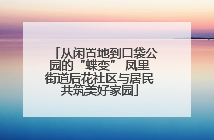 从闲置地到口袋公园的“蝶变” 凤里街道后花社区与居民共筑美好家园