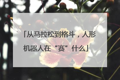 从马拉松到格斗，人形机器人在“赛”什么