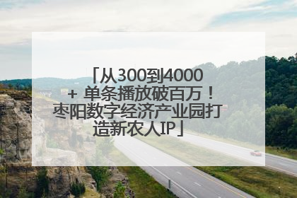 从300到4000+ 单条播放破百万！枣阳数字经济产业园打造新农人IP