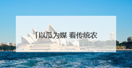 以瓜为媒 看传统农业大镇石莲子镇如何唱响乡村振兴协奏曲？