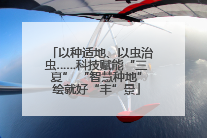 以种适地、以虫治虫……科技赋能“三夏” “智慧种地”绘就好“丰”景