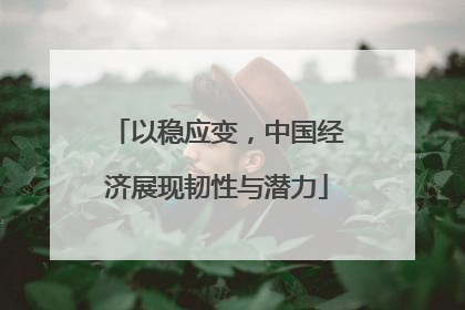 以稳应变，中国经济展现韧性与潜力
