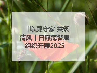 以廉守家 共筑清风｜日照海警局组织开展2025年集中送廉活动