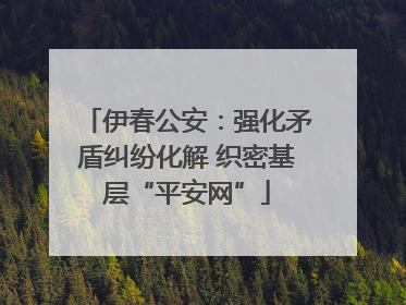 伊春公安：强化矛盾纠纷化解 织密基层“平安网”