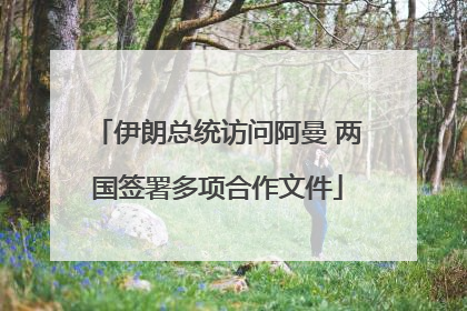 伊朗总统访问阿曼 两国签署多项合作文件