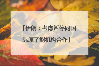 伊朗：考虑暂停同国际原子能机构合作