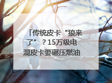 传统皮卡“狼来了”？15万级电混皮卡要碾压燃油车｜汽车风云