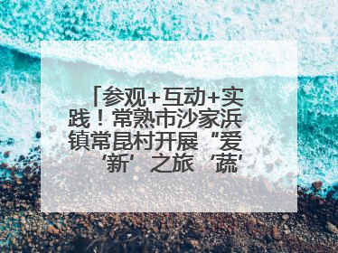 参观+互动+实践！常熟市沙家浜镇常昆村开展“爱‘新’之旅‘蔬’适生活”参观学习活动