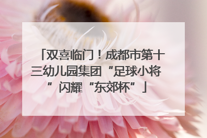 双喜临门！成都市第十三幼儿园集团“足球小将”闪耀“东郊杯”
