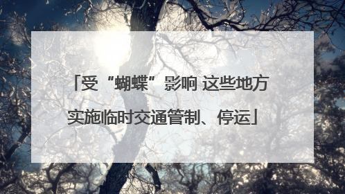 受“蝴蝶”影响 这些地方实施临时交通管制、停运