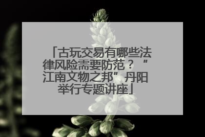 古玩交易有哪些法律风险需要防范？“江南文物之邦”丹阳举行专题讲座
