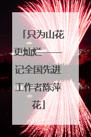 只为山花更灿烂——记全国先进工作者陈萍花