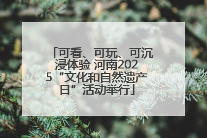 可看、可玩、可沉浸体验 河南2025“文化和自然遗产日”活动举行