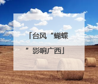 台风“蝴蝶”影响广西