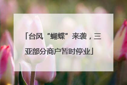 台风“蝴蝶”来袭，三亚部分商户暂时停业