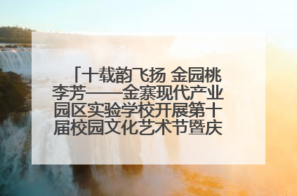 十载韵飞扬 金园桃李芳——金寨现代产业园区实验学校开展第十届校园文化艺术节暨庆“六一”系列活动
