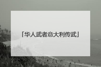 华人武者意大利传武