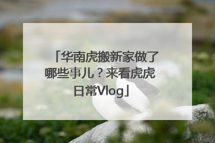 华南虎搬新家做了哪些事儿？来看虎虎日常Vlog
