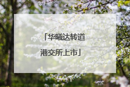 华曦达转道港交所上市