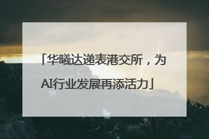 华曦达递表港交所，为AI行业发展再添活力
