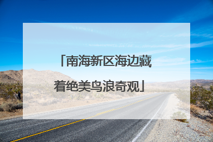 南海新区海边藏着绝美鸟浪奇观