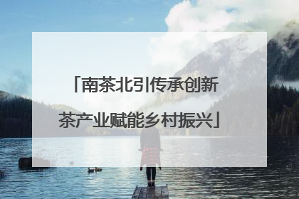 南茶北引传承创新 茶产业赋能乡村振兴