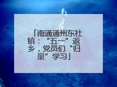 南通通州东社镇：“五一”返乡，党员们“归巢”学习