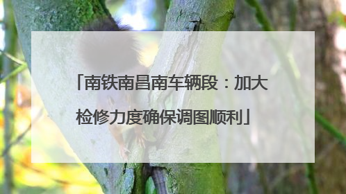 南铁南昌南车辆段：加大检修力度确保调图顺利