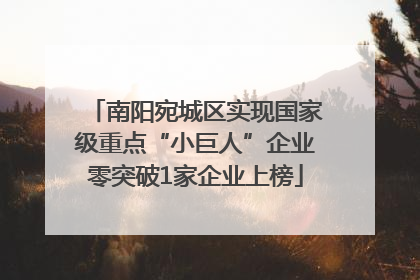 南阳宛城区实现国家级重点“小巨人”企业零突破1家企业上榜