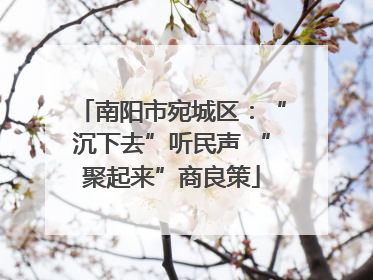 南阳市宛城区：“沉下去”听民声 “聚起来”商良策