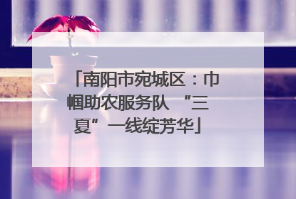 南阳市宛城区：巾帼助农服务队 “三夏”一线绽芳华