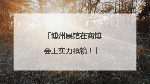 博州展馆在商博会上实力抢镜！