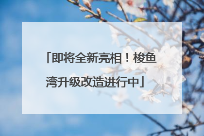 即将全新亮相！梭鱼湾升级改造进行中