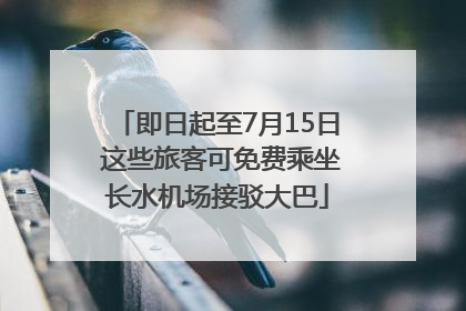 即日起至7月15日 这些旅客可免费乘坐长水机场接驳大巴