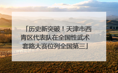 历史新突破！天津市西青区代表队在全国性武术套路大赛位列全国第三