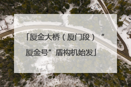 厦金大桥（厦门段）“厦金号”盾构机始发