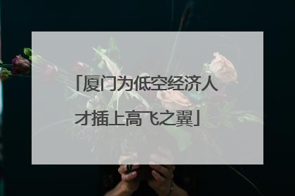 厦门为低空经济人才插上高飞之翼