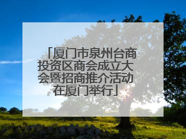 厦门市泉州台商投资区商会成立大会暨招商推介活动在厦门举行