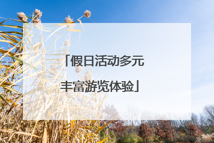假日活动多元 丰富游览体验