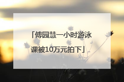 傅园慧一小时游泳课被10万元拍下