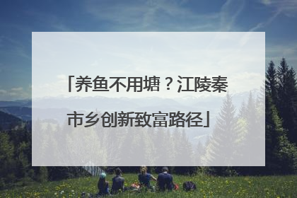 养鱼不用塘？江陵秦市乡创新致富路径
