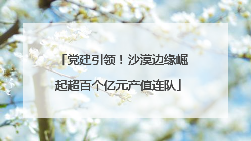 党建引领！沙漠边缘崛起超百个亿元产值连队