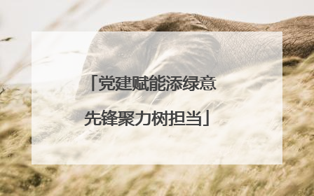 党建赋能添绿意 先锋聚力树担当