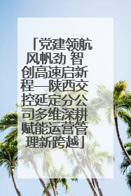 党建领航风帆劲 智创高速启新程—陕西交控延定分公司多维深耕赋能运营管理新跨越