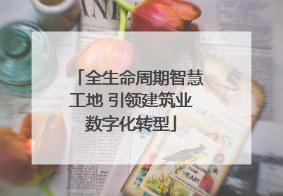 全生命周期智慧工地 引领建筑业数字化转型