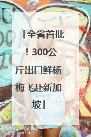 全省首批！300公斤出口鲜杨梅飞赴新加坡