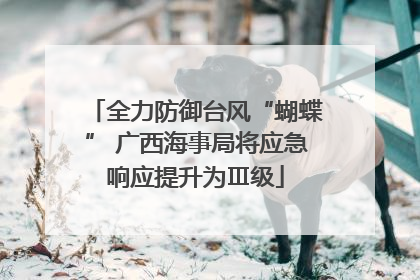 全力防御台风“蝴蝶” 广西海事局将应急响应提升为Ⅲ级
