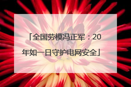 全国劳模冯正军：20年如一日守护电网安全