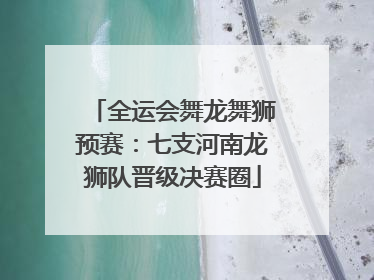 全运会舞龙舞狮预赛：七支河南龙狮队晋级决赛圈